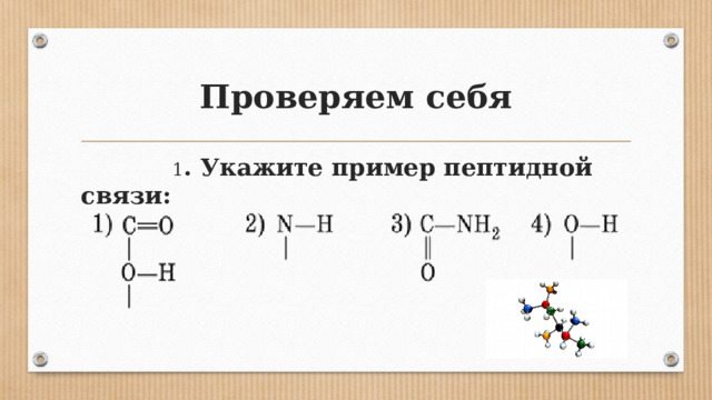 Проверяем себя  1 . Укажите пример пептидной связи:  