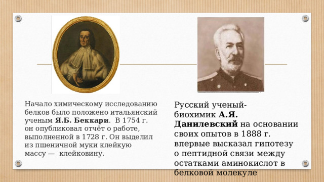 Начало химическому исследованию белков было положено итальянский ученым  Я.Б. Беккари .  В 1754 г. он опубликовал отчёт о работе, выполненной в 1728 г. Он выделил из пшеничной муки клейкую массу —  клейковину. Русский ученый-биохимик  А.Я. Данилевский  на основании своих опытов в 1888 г. впервые высказал гипотезу о пептидной связи между остатками аминокислот в белковой молекуле 