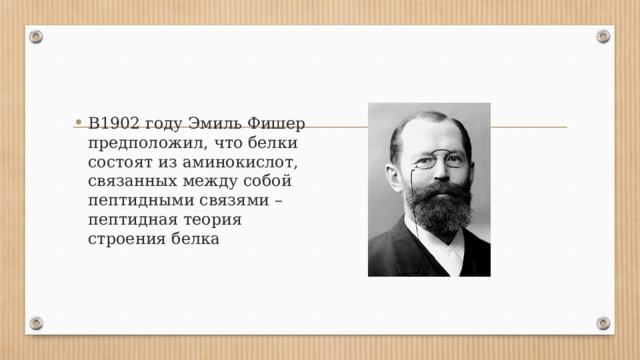 В1902 году Эмиль Фишер предположил, что белки состоят из аминокислот, связанных между собой пептидными связями – пептидная теория строения белка 