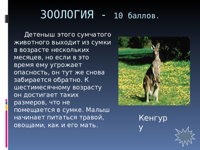 ЗООЛОГИЯ - 10 баллов .   Детеныш этого сумчатого животного выходит из сумки в возрасте нескольких месяцев, но если в это время ему угрожает опасность, он тут же снова забирается обратно. К шестимесячному возрасту он достигает таких размеров, что не помещается в сумке. Малыш начинает питаться травой, овощами, как и его мать. Кенгуру 