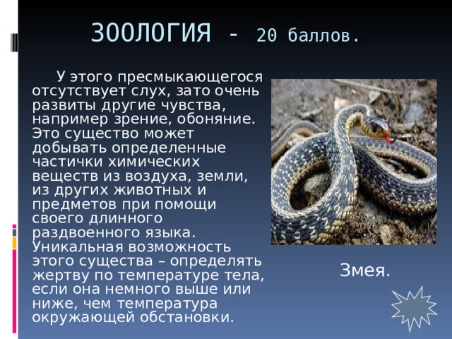 ЗООЛОГИЯ - 20 баллов.    У этого пресмыкающегося отсутствует слух, зато очень развиты другие чувства, например зрение, обоняние. Это существо может добывать определенные частички химических веществ из воздуха, земли, из других животных и предметов при помощи своего длинного раздвоенного языка. Уникальная возможность этого существа – определять жертву по температуре тела, если она немного выше или ниже, чем температура окружающей обстановки. Змея. 