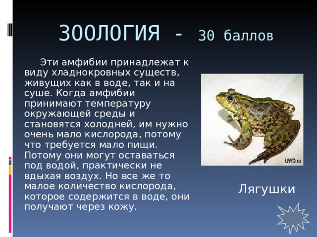 ЗООЛОГИЯ - 30 баллов    Эти амфибии принадлежат к виду хладнокровных существ, живущих как в воде, так и на суше. Когда амфибии принимают температуру окружающей среды и становятся холодней, им нужно очень мало кислорода, потому что требуется мало пищи. Потому они могут оставаться под водой, практически не вдыхая воздух. Но все же то малое количество кислорода, которое содержится в воде, они получают через кожу. Лягушки 