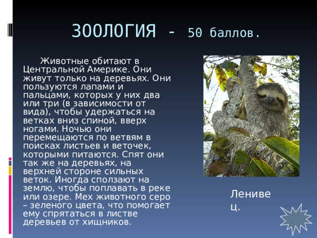 ЗООЛОГИЯ - 50 баллов.   Животные обитают в Центральной Америке. Они живут только на деревьях. Они пользуются лапами и пальцами, которых у них два или три (в зависимости от вида), чтобы удержаться на ветках вниз спиной, вверх ногами. Ночью они перемещаются по ветвям в поисках листьев и веточек, которыми питаются. Спят они так же на деревьях, на верхней стороне сильных веток. Иногда сползают на землю, чтобы поплавать в реке или озере. Мех животного серо – зеленого цвета, что помогает ему спрятаться в листве деревьев от хищников. Ленивец. 