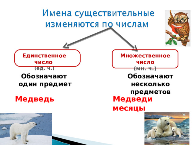 Единственное число  Множественное число (мн. ч.) (ед. ч.) Обозначают один предмет Обозначают несколько предметов Медведь месяц Медведи месяцы 8 