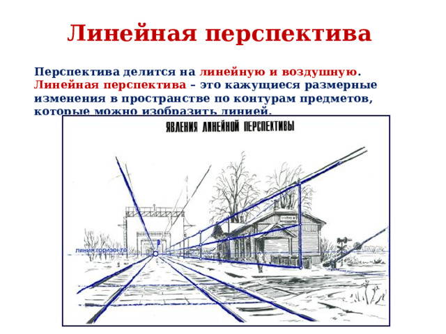 Линейная перспектива Перспектива делится на линейную и воздушную . Линейная перспектива – это кажущиеся размерные изменения в пространстве по контурам предметов, которые можно изобразить линией. 