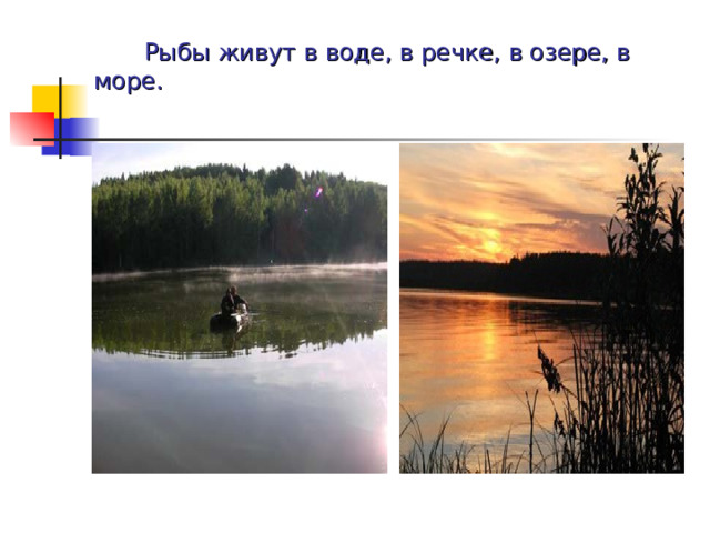 Рыбы живут в воде, в речке, в озере, в море. 