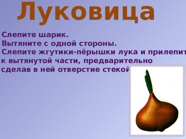Луковица Слепите шарик. Вытяните с одной стороны. Слепите жгутики-пёрышки лука и прилепите  к вытянутой части, предварительно  сделав в ней отверстие стекой. 