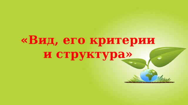 « Вид, его критерии и структура»   