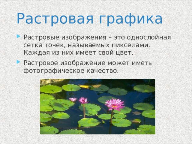 Растровая графика Растровые изображения – это однослойная сетка точек, называемых пикселами. Каждая из них имеет свой цвет. Растровое изображение может иметь фотографическое качество. 