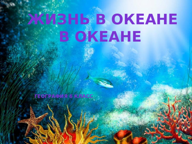  Жизнь в океане в океане       География 6 класс 