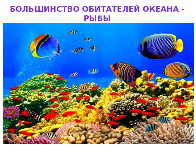 Большинство обитателей океана -рыбы 