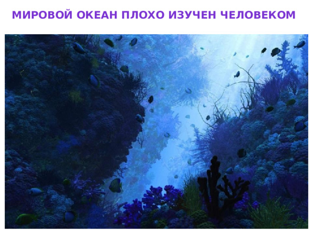 Мировой океан плохо изучен человеком 