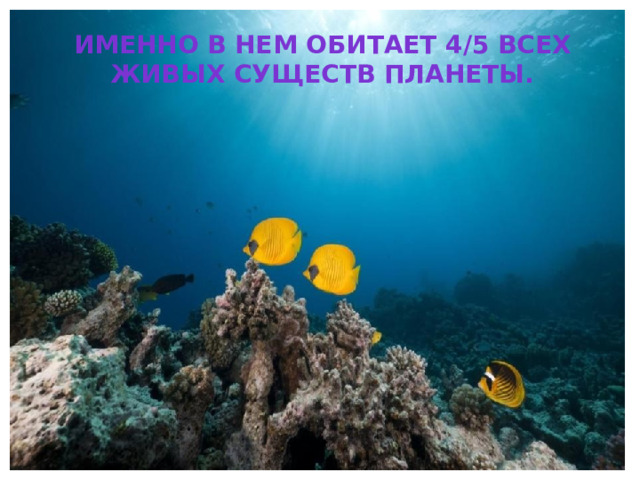 Именно в нем обитает 4/5 всех живых существ планеты. 