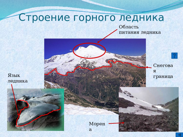 Строение горного ледника Область питания ледника Снеговая граница Язык ледника Морена 