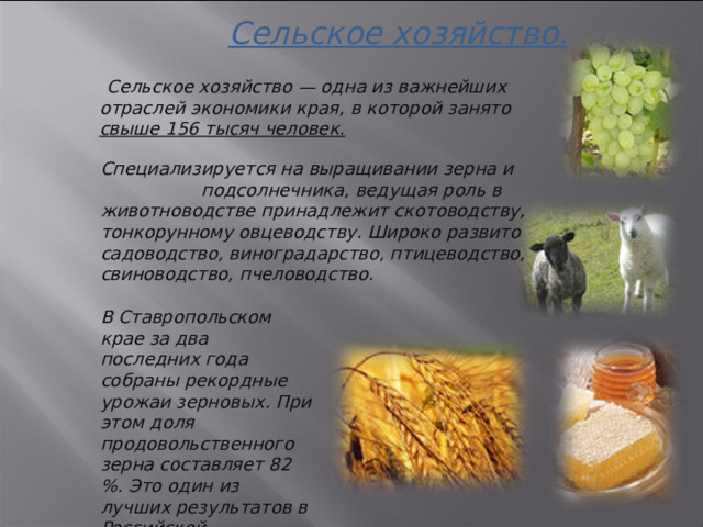 Сельское хозяйство.    Сельское хозяйство — одна из важнейших отраслей экономики края, в которой занято свыше 156 тысяч человек. Специализируется на выращивании зерна и подсолнечника, ведущая роль в животноводстве принадлежит скотоводству, тонкорунному овцеводству. Широко развито садоводство, виноградарство, птицеводство, свиноводство, пчеловодство. В Ставропольском крае за два последних года собраны рекордные урожаи зерновых. При этом доля продовольственного зерна составляет 82 %. Это один из лучших результатов в Российской Федерации. 3 