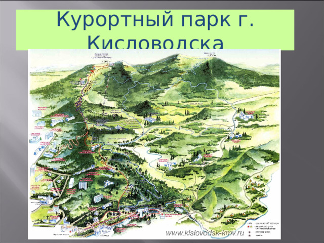 Курортный парк г. Кисловодска 21 