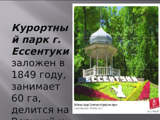  Курортный парк г. Ессентуки заложен в 1849 году, занимает 60 га, делится на Верхний и Нижний. 21 