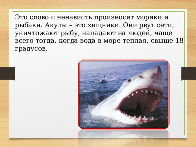 Это слово с ненависть произносят моряки и рыбаки. Акулы – это хищники. Они рвут сети, уничтожают рыбу, нападают на людей, чаще всего тогда, когда вода в море теплая, свыше 18 градусов. 