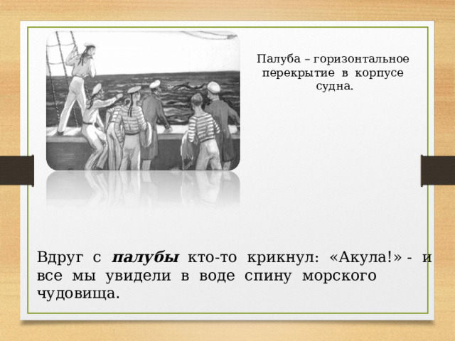 Палуба – горизонтальное перекрытие в корпусе судна. Вдруг с палубы кто-то крикнул: «Акула!» - и все мы увидели в воде спину морского чудовища. 