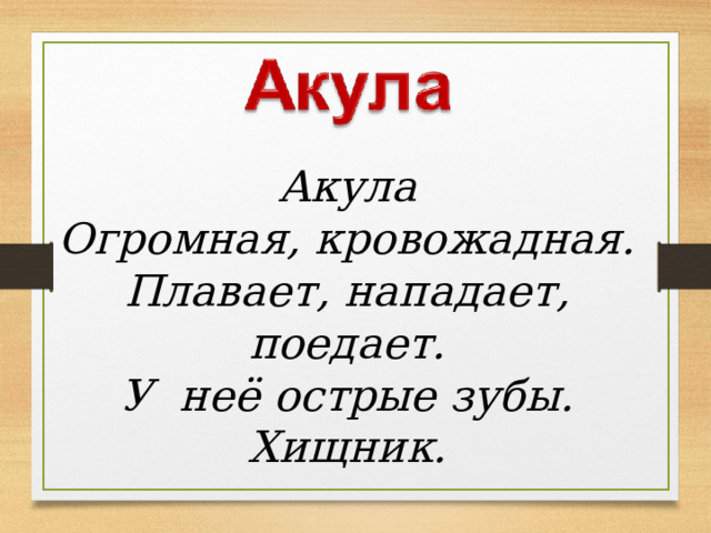 Акула Огромная, кровожадная. Плавает, нападает, поедает. У  неё острые зубы. Хищник. 
