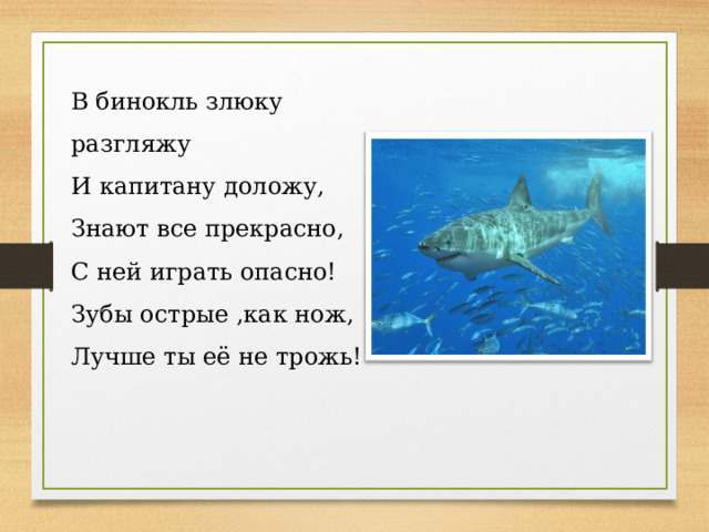 В бинокль злюку разгляжу  И капитану доложу,  Знают все прекрасно,  С ней играть опасно!  Зубы острые ,как нож,  Лучше ты её не трожь!  