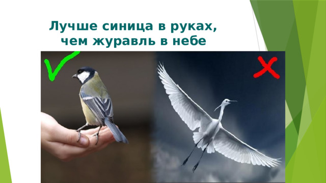 Лучше синица в руках,  чем журавль в небе  