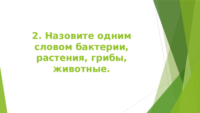 2. Назовите одним словом бактерии, растения, грибы, животные. 
