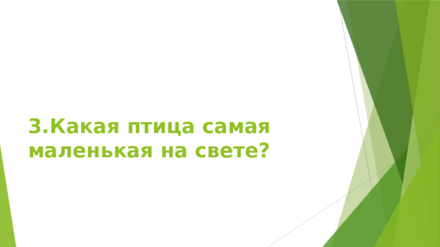 3.Какая птица самая маленькая на свете? 