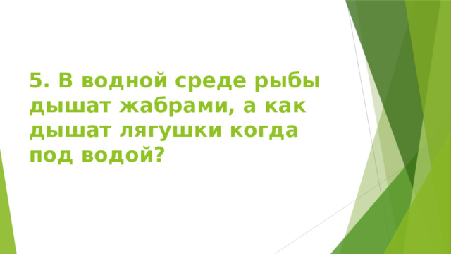 5. В водной среде рыбы дышат жабрами, а как дышат лягушки когда под водой? 