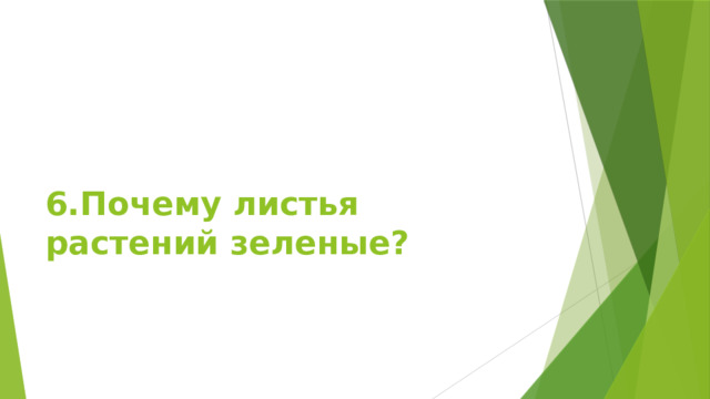 6.Почему листья растений зеленые? 