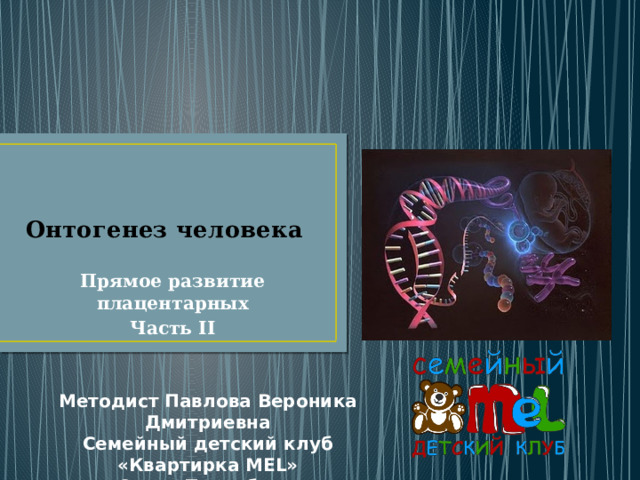 Онтогенез человека Прямое развитие плацентарных Часть II Методист Павлова Вероника Дмитриевна Семейный детский клуб «Квартирка MEL» Санкт-Петербург 