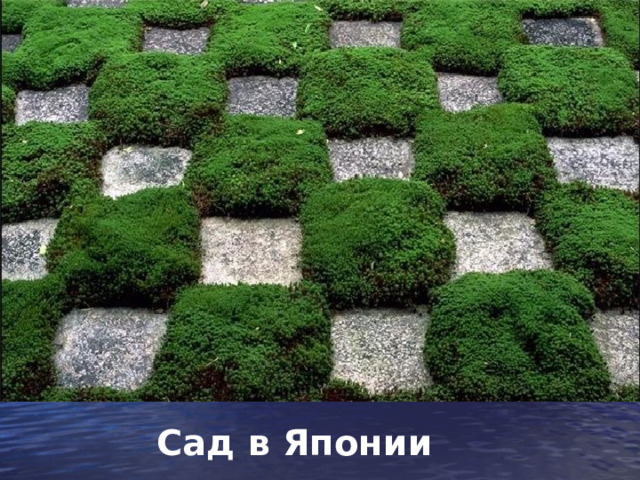 Сад в Японии 