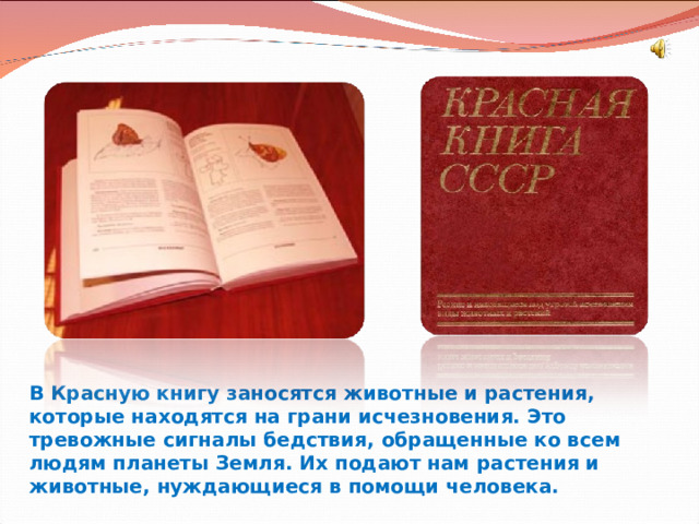 В Красную книгу заносятся животные и растения, которые находятся на грани исчезновения. Это тревожные сигналы бедствия, обращенные ко всем людям планеты Земля. Их подают нам растения и животные, нуждающиеся в помощи человека. 