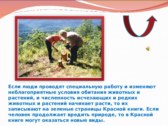 Если люди проводят специальную работу и изменяют неблагоприятные условия обитания животных и растений, и численность исчезающих и редких животных и растений начинает расти, то их записывают на зеленые страницы Красной книги. Если человек продолжает вредить природе, то в Красной книге могут оказаться новые виды. 