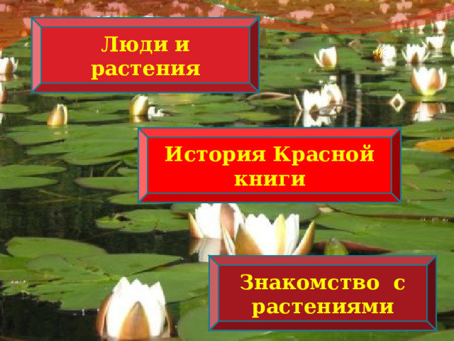 Люди и растения История Красной книги Знакомство с растениями 