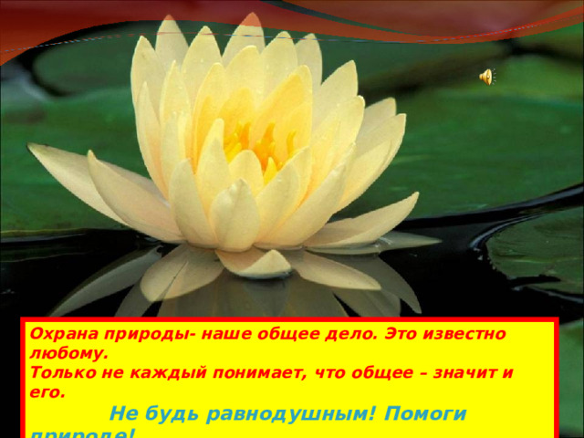 Охрана природы- наше общее дело. Это известно любому. Только не каждый понимает, что общее – значит и его.  Не будь равнодушным! Помоги природе! 