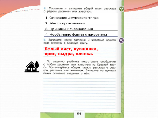 Белый аист, кувшинка, ирис, выдра, оляпка. 