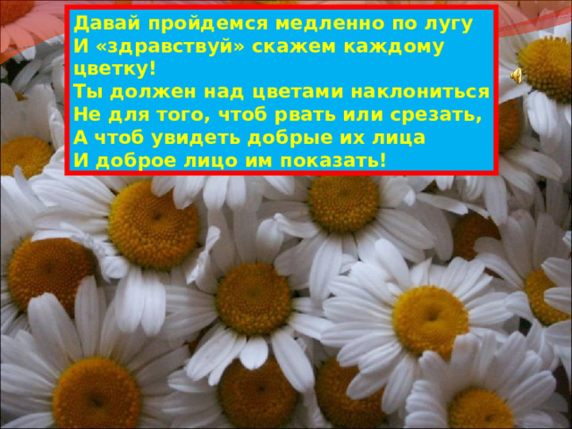 Давай пройдемся медленно по лугу  И « здравствуй » скажем каждому цветку!  Ты должен над цветами наклониться  Не для того, чтоб рвать или срезать,  А чтоб увидеть добрые их лица  И доброе лицо им показать! 