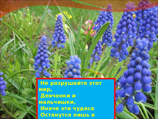  Не разрушайте этот мир,  Девчонки и мальчишки,  Иначе эти чудеса  Останутся лишь в книжке. 