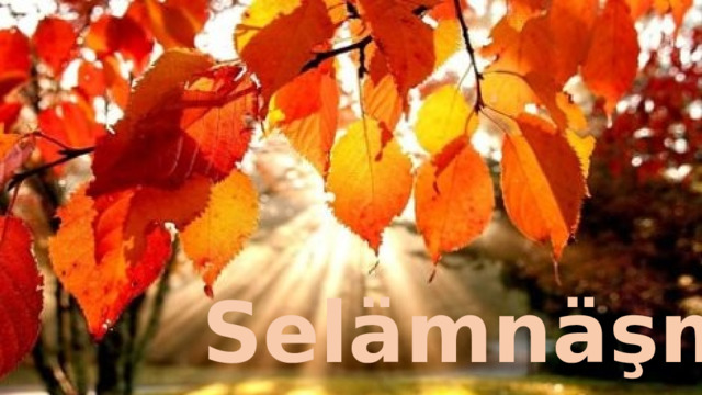 Selämnäşmäk 