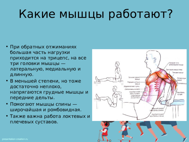 Какие мышцы работают? При обратных отжиманиях большая часть нагрузки приходится на трицепс, на все три головки мышцы — латеральную, медиальную и длинную. В меньшей степени, но тоже достаточно неплохо, напрягаются грудные мышцы и передние дельты. Помогают мышцы спины — широчайшая и ромбовидная. Также важна работа локтевых и плечевых суставов. 