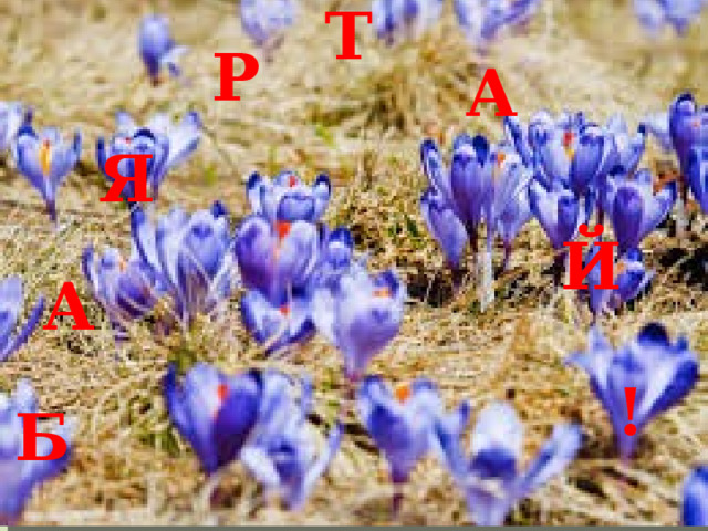 Т Р А Р Т Я А Я Й Й А А ! Б 
