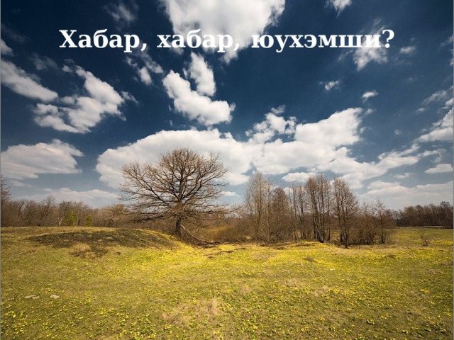 Хабар, хабар, юухэмши? 