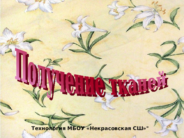 Технология МБОУ «Некрасовская СШ»