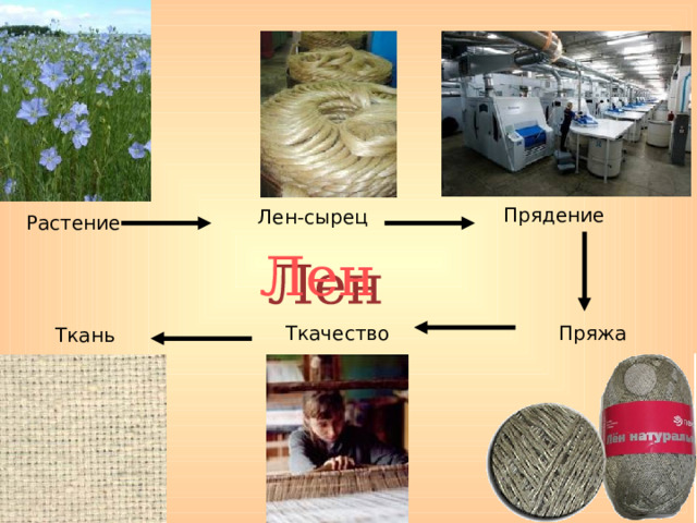 Прядение Лен-сырец Растение Ткачество Пряжа Ткань 