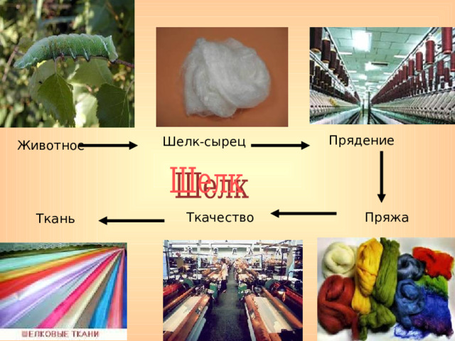 Прядение Шелк-сырец Животное Ткачество Пряжа Ткань 