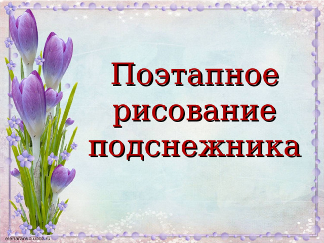 Поэтапное рисование подснежника 