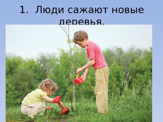 1.  Люди сажают новые деревья. 