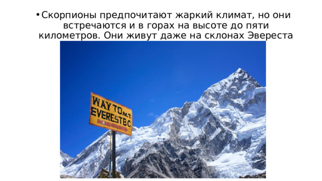 Скорпионы предпочитают жаркий климат, но они встречаются и в горах на высоте до пяти километров. Они живут даже на склонах Эвереста 