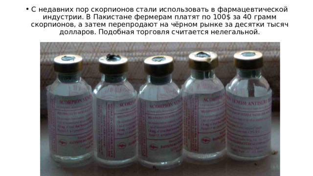 С недавних пор скорпионов стали использовать в фармацевтической индустрии. В Пакистане фермерам платят по 100$ за 40 грамм скорпионов, а затем перепродают на чёрном рынке за десятки тысяч долларов. Подобная торговля считается нелегальной. 